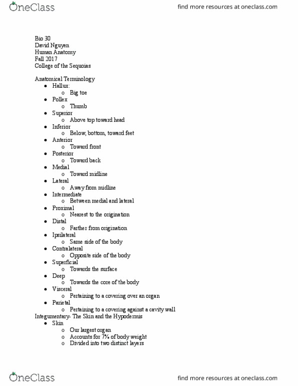 BIOL 030 Lecture Notes - Lecture 3: Subcutaneous Tissue, Anatomical Terms Of Location, Stratum Granulosum thumbnail