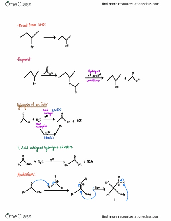 CHM 315 Lecture Notes - Lecture 21: Nucleophile, Transesterification thumbnail
