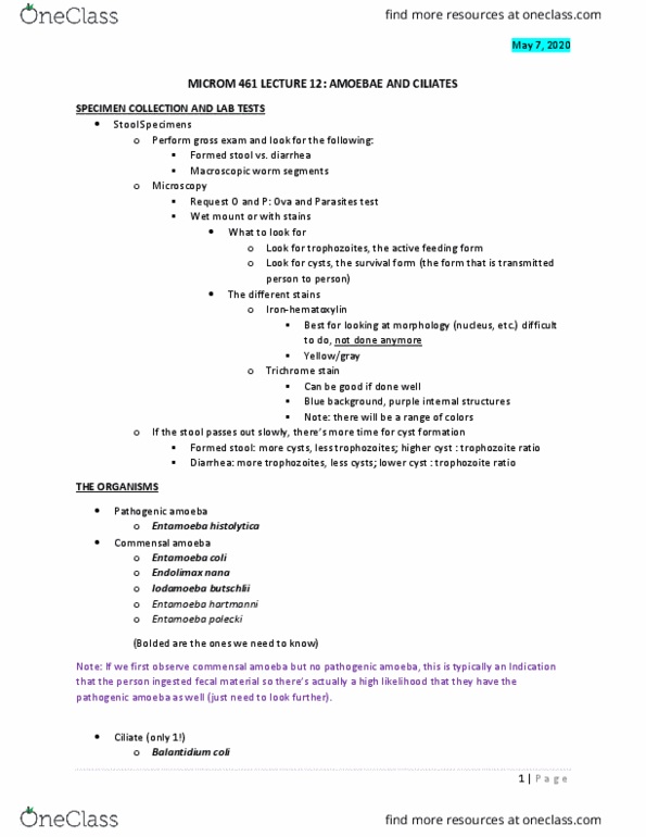 MICROM 461 Lecture Notes - Lecture 12: Balantidium Coli, Apicomplexan Life Cycle, Entamoeba thumbnail