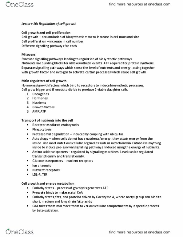 Biochemistry 3381A Lecture Notes - Lecture 16: Acetyl-Coa, Cell Signaling, Mitogen thumbnail