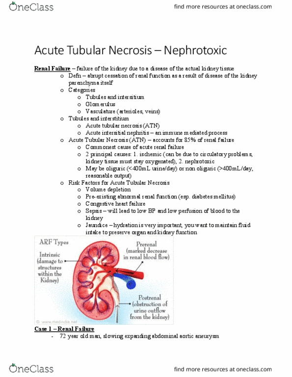 ADMS 3502 Lecture Notes - Lecture 17: Heme, Heart Failure, Hypotension thumbnail