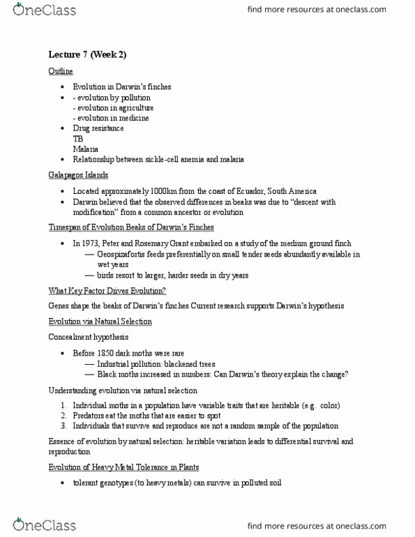 BIO201H5 Lecture Notes - Lecture 7: Medium Ground Finch, Drug Resistance, Rifampicin thumbnail