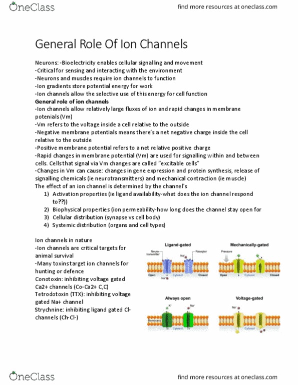 BIOL 2020 Lecture Notes - Lecture 40: Voltage-Dependent Calcium Channel, Conotoxin, Strychnine thumbnail