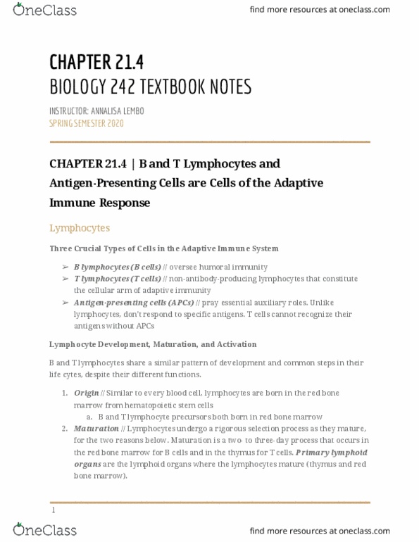 BIOL-242 Chapter Notes - Chapter 21: Antigen-Presenting Cell, Bone Marrow, B Cell thumbnail