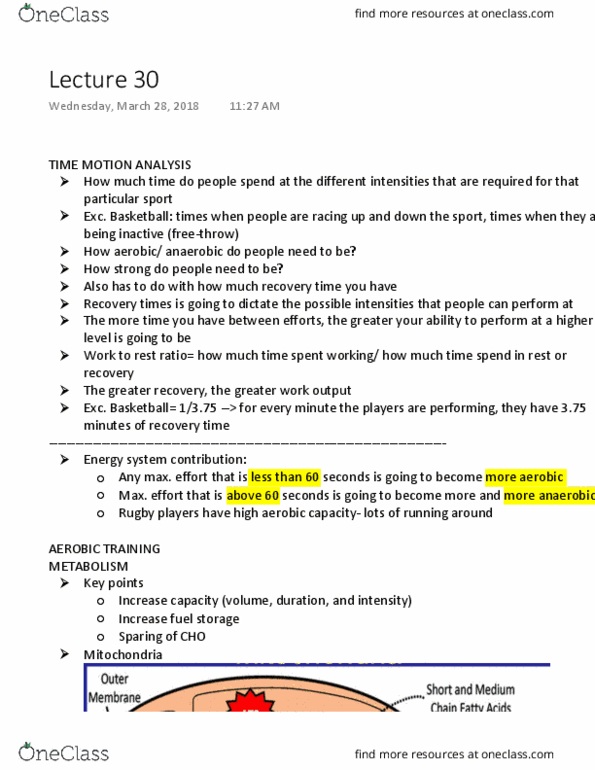 Psychology 2036A/B Lecture Notes - Lecture 30: Mitochondrion, Myocyte, Enzyme thumbnail