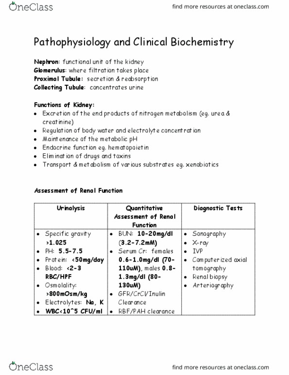 PHIL 2015 Chapter Notes - Chapter 2.4: Erythropoietin, Angiography, Nitrogen Cycle thumbnail