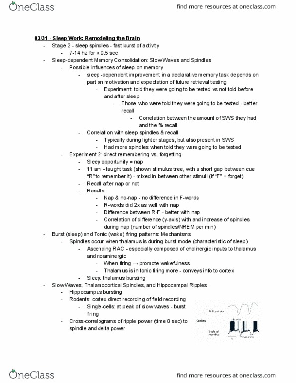 BIO 337 Lecture Notes - Lecture 13: Sleep Spindle, Delta Wave, Field Recording thumbnail