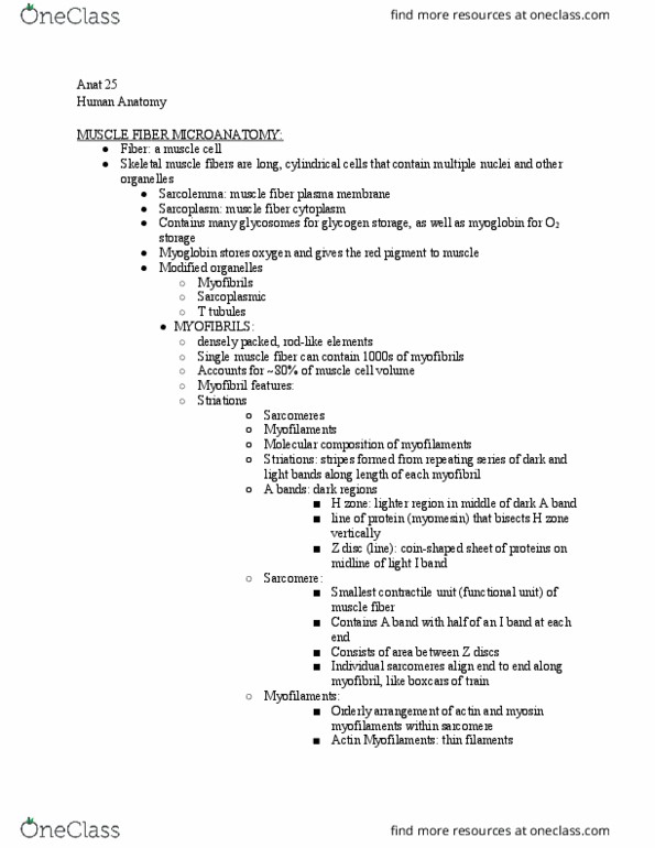 ANAT 025 Lecture Notes - Lecture 4: Skeletal Muscle, Myocyte, Myofibril thumbnail