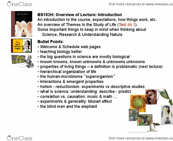 BS 182H Lecture Notes - Term Paper, Microsoft Powerpoint, The Blind thumbnail