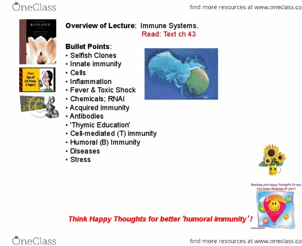 BS 182H Lecture Notes - Immune System, Sponge, Natural Selection thumbnail