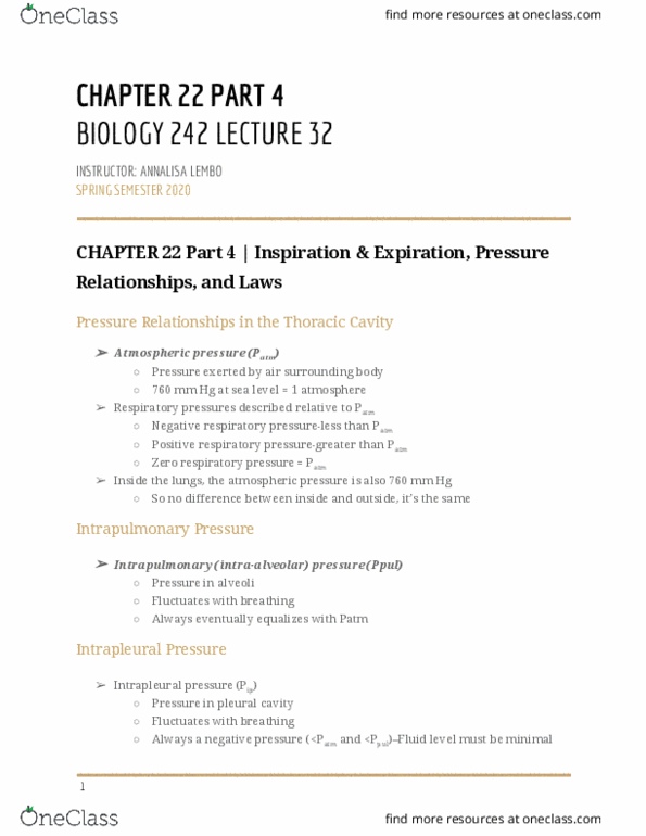 BIOL-242 Lecture Notes - Lecture 32: Intrapleural Pressure, Bronchiole, Sternocleidomastoid Muscle thumbnail