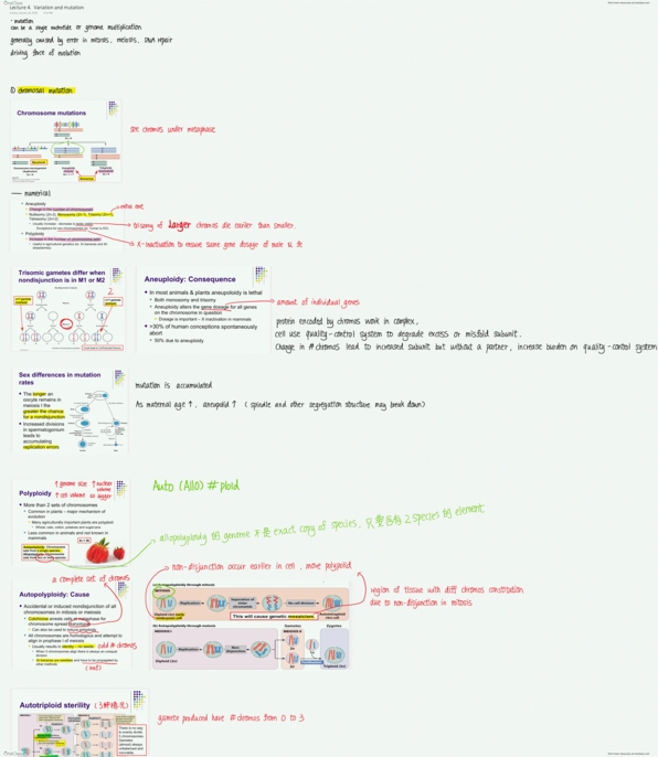 Biology 2581B Lecture 4: Lecture 4. Variation and mutation thumbnail