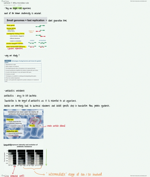 Biology 2581B Lecture 7: Lecture 7. Why microbes rule thumbnail