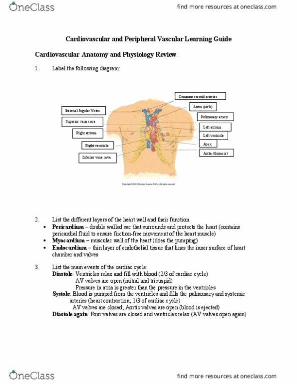 NATS 1540 Lecture Notes - Lecture 68: Superior Vena Cava, Pericardial Fluid, Circulatory System thumbnail