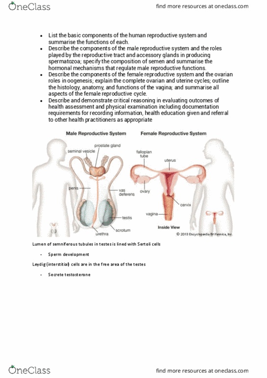 NUR5011 Lecture Notes - Lecture 1: Human Reproductive System, Male Reproductive System, Sertoli Cell thumbnail