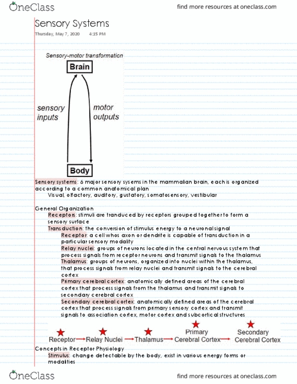 NPB 101 Lecture 26: Sensory Systems thumbnail