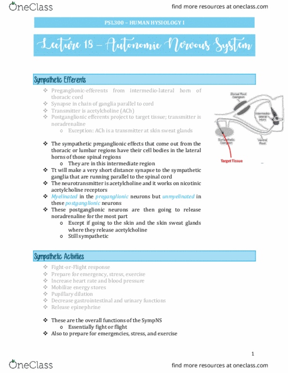 PSL300H1 Lecture Notes - Lecture 18: Parasympathetic Nervous System, Preganglionic Nerve Fibers, Adrenal Medulla thumbnail