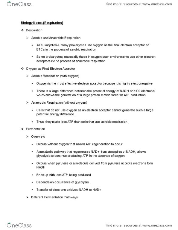 BIO 181 Lecture Notes - Anaerobic Respiration, Electrochemical Gradient, Cellular Respiration thumbnail