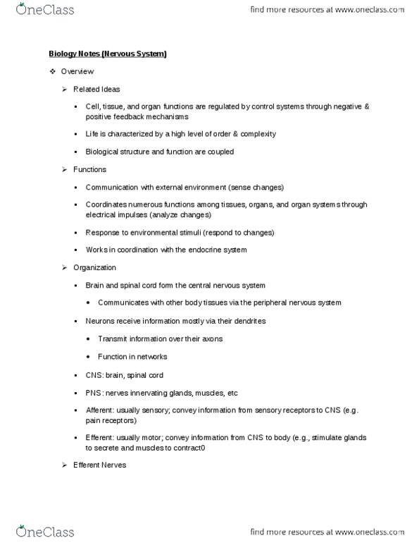 BIO 181 Lecture Notes - Endocrine System, Parotid Gland, Sympathetic Nervous System thumbnail