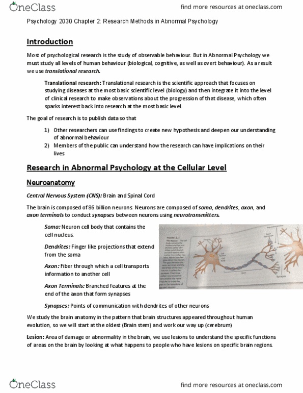 Psychology 2030A/B Lecture Notes - Central Nervous System, Abnormal Psychology, Brainstem thumbnail