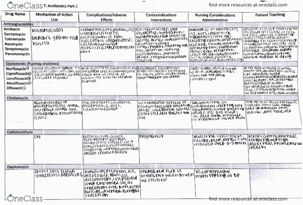 NUR 1021C Chapter Notes - Chapter 1: Norfloxacin, Antibiotics, Daptomycin thumbnail