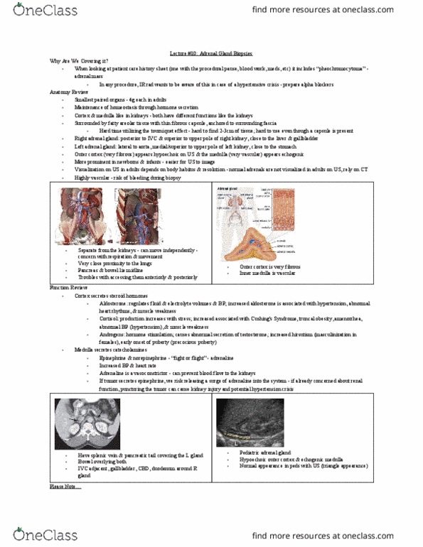 MEDRADSC 3C03 Lecture Notes - Lecture 10: Cardiac Arrhythmia, Adrenal Tumor, Precocious Puberty thumbnail