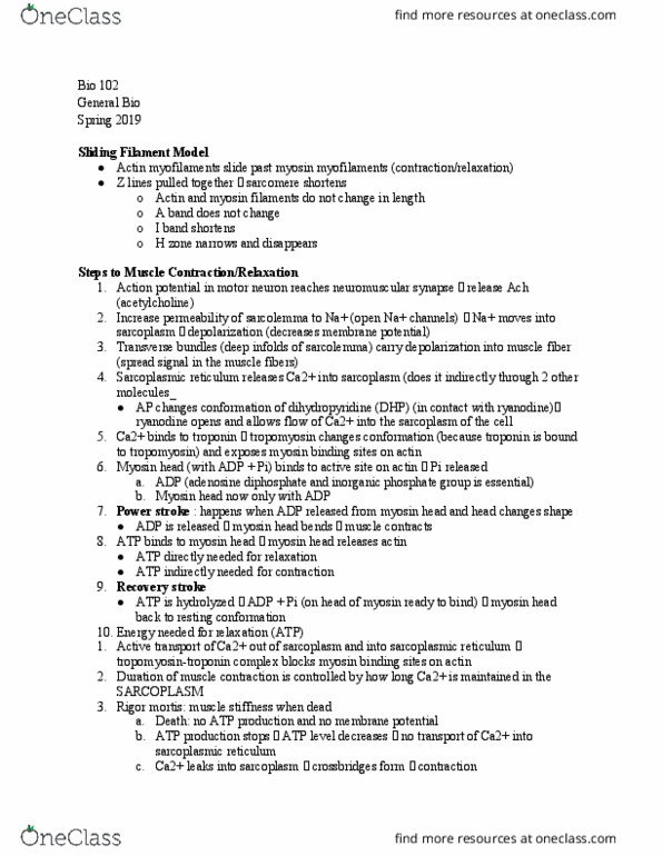 BIOL 102 Lecture Notes - Lecture 18: Endoplasmic Reticulum, Rigor Mortis, Myosin Head thumbnail