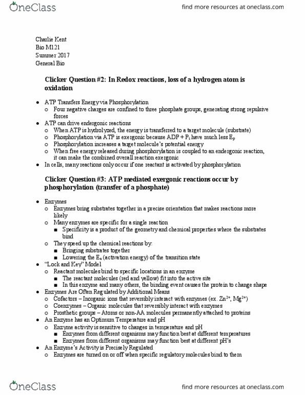 BIO* - Biology BIO* M121 Chapter Notes - Chapter 1: Endergonic Reaction, Phosphorylation, Reagent thumbnail