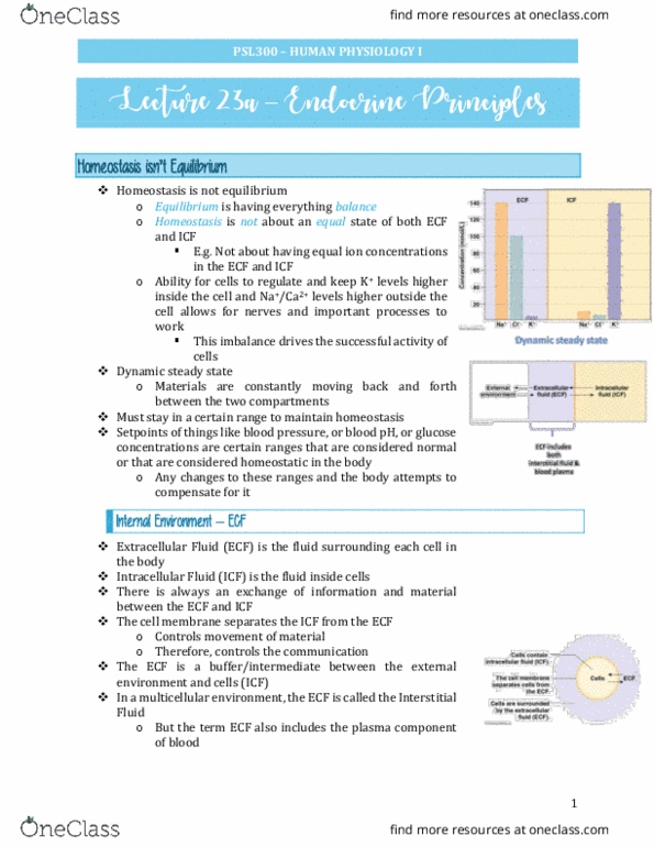 PSL300H1 Lecture Notes - Lecture 23: Homeostasis, Thermometer thumbnail