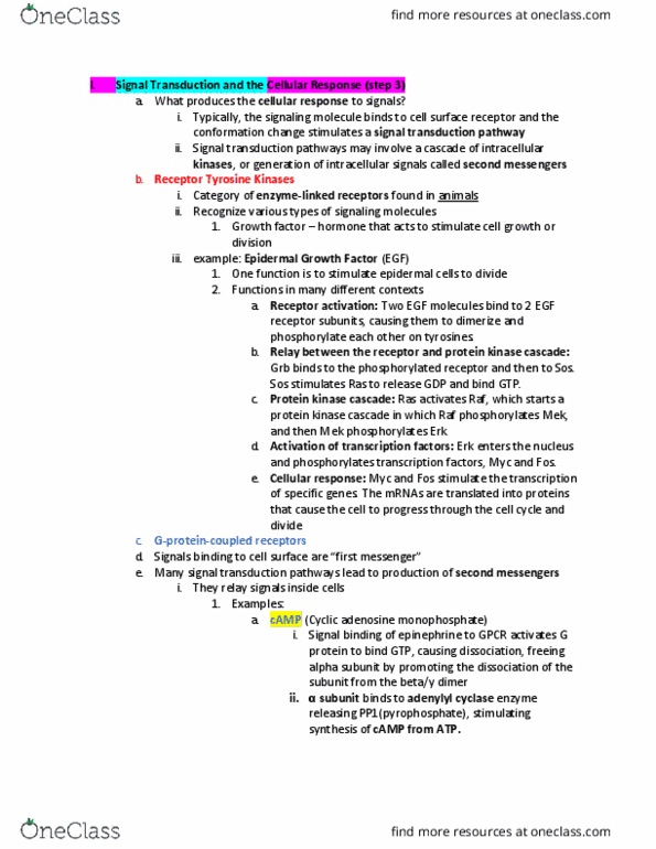 BISC 220Lg Lecture Notes - Lecture 13: Epidermal Growth Factor, Cyclic Adenosine Monophosphate, Epidermal Growth Factor Receptor thumbnail