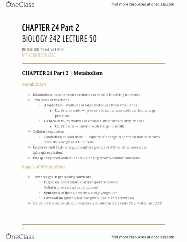 BIOL-242 Lecture Notes - Lecture 50: Acetyl-Coa, Oxidative Phosphorylation, Cellular Respiration thumbnail