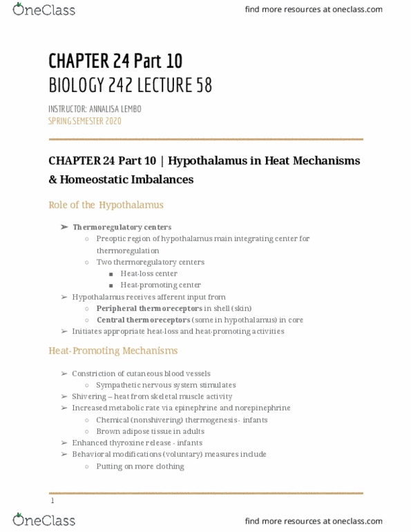 BIOL-242 Lecture Notes - Lecture 58: Brown Adipose Tissue, Sympathetic Nervous System, Skeletal Muscle thumbnail