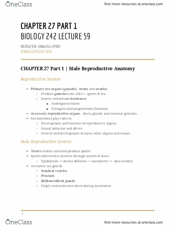 BIOL-242 Lecture Notes - Lecture 59: Vas Deferens, Ejaculatory Duct, Reproductive System thumbnail
