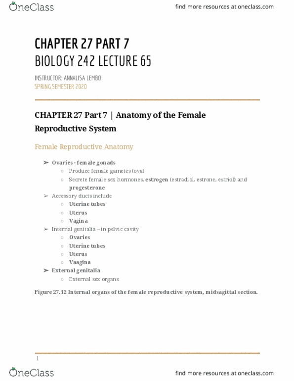BIOL-242 Lecture Notes - Lecture 65: Estriol, Peristalsis, Chapter 27 thumbnail