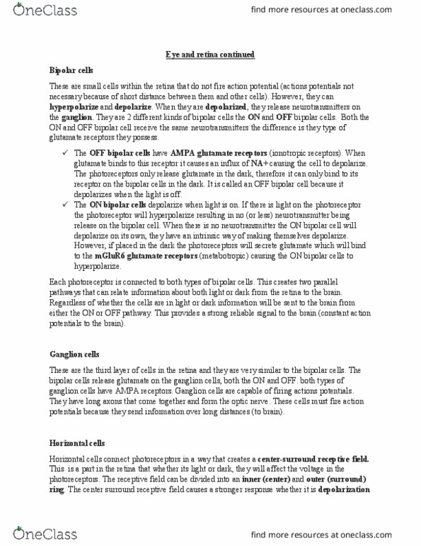 01:146:295 Lecture Notes - Lecture 19: Ganglion Cell, Receptive Field, Metabotropic Glutamate Receptor 6 thumbnail