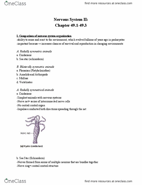 01:119:116 Lecture Notes - Lecture 19: Starfish, Planarian, Nerve Net thumbnail