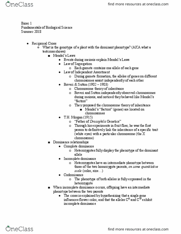 BIOSC-101 Lecture Notes - Lecture 13: Mendelian Inheritance, Zygosity, Meiosis thumbnail