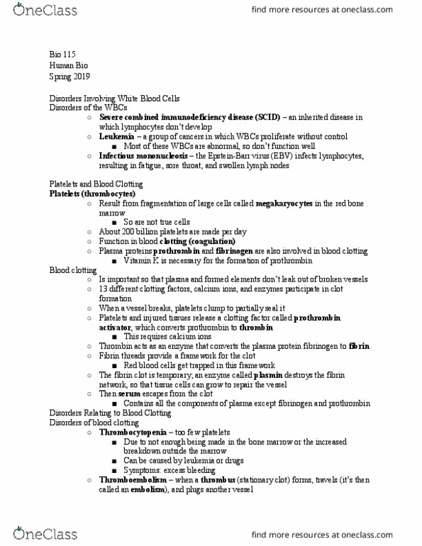 BIOL 115 Lecture Notes - Lecture 19: Severe Combined Immunodeficiency, Infectious Mononucleosis, Fibrin thumbnail