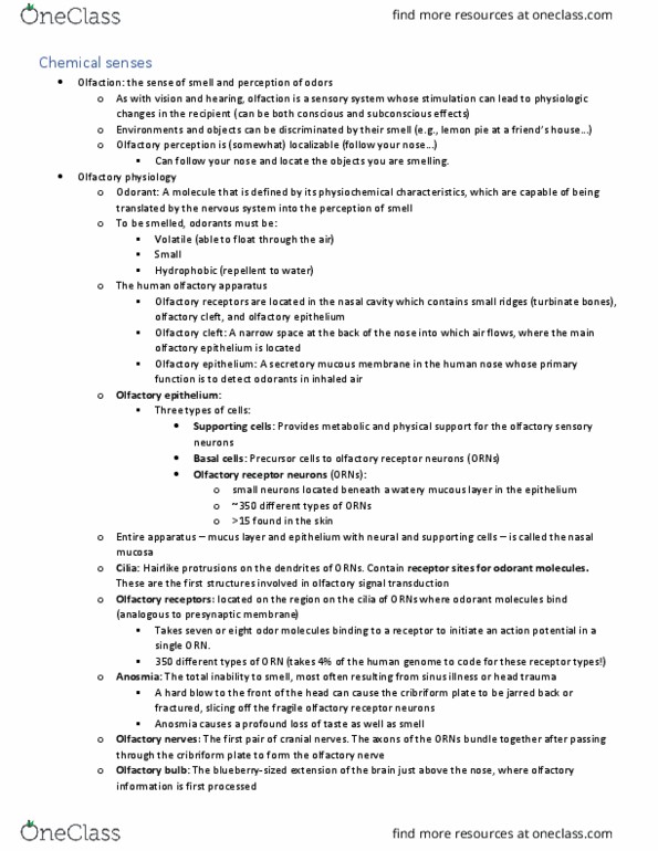 PSYC 2307 Lecture Notes - Lecture 7: Olfactory Receptor Neuron, Olfactory Epithelium, Cribriform Plate thumbnail