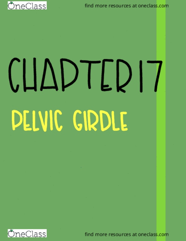 BSC 1085C Chapter Notes - Chapter 17: Pelvic Inlet, Articular Processes, .Int thumbnail