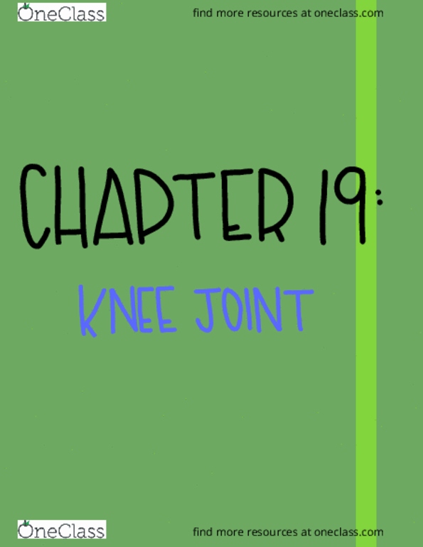 BSC 1085C Chapter Notes - Chapter 19: Paten, Varus Deformity, Sesamoid Bone thumbnail