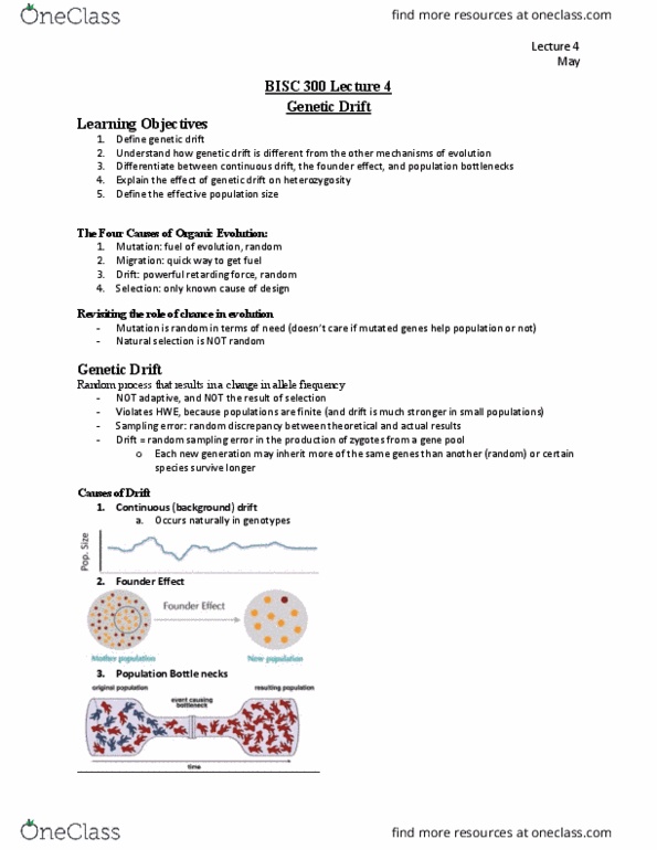 BISC 300 Lecture Notes - Lecture 4: Effective Population Size, Genetic Drift, Four Causes thumbnail