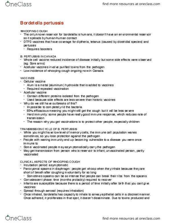 CMMB 431 Lecture Notes - Lecture 16: Pertussis, Bordetella, Herd Immunity thumbnail