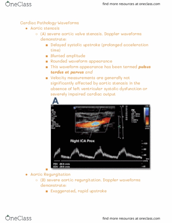RIU 436 Lecture Notes - Lecture 2: Aortic Stenosis, Heart Failure, Cardiac Output thumbnail