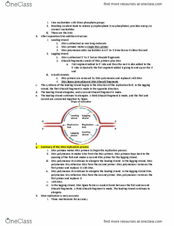 BISC 220Lg Lecture Notes - Lecture 15: Euchromatin, Hydrogen Bond, Telomerase thumbnail