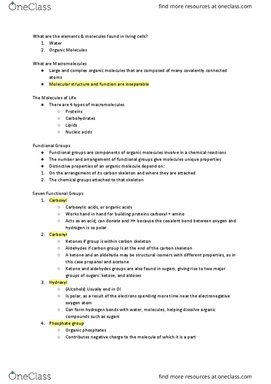 BIOL107 Lecture Notes - Lecture 2: Carboxylic Acid, Carbon Group, Aldehyde thumbnail