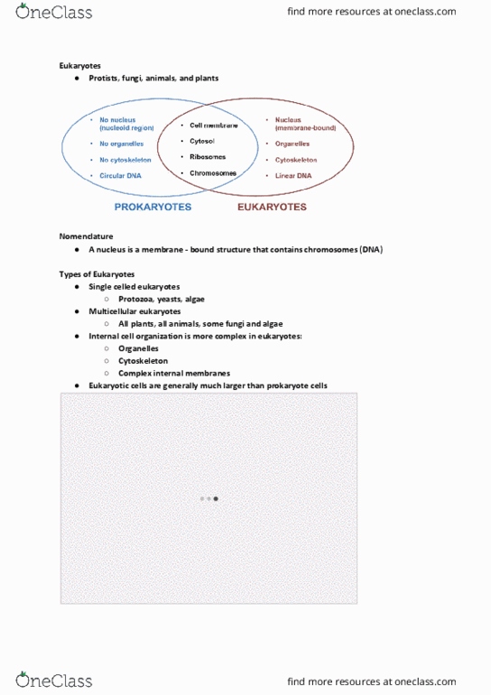 BIOL107 Lecture Notes - Lecture 5: Protozoa, Cytoskeleton, Eukaryote thumbnail