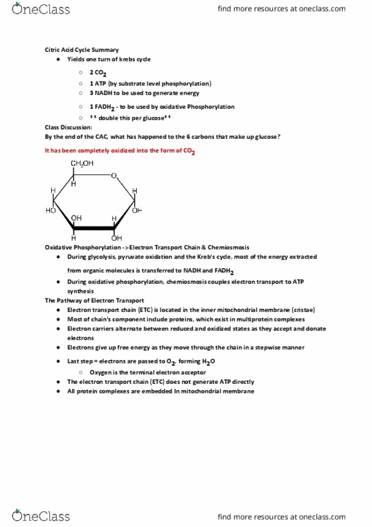 BIOL107 Lecture Notes - Lecture 17: Electron Acceptor, Cytochrome, Chemiosmosis thumbnail