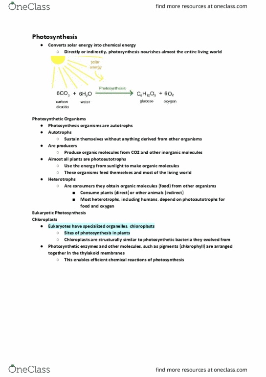 BIOL107 Lecture Notes - Lecture 21: Stoma, Cellular Respiration, Endergonic Reaction thumbnail