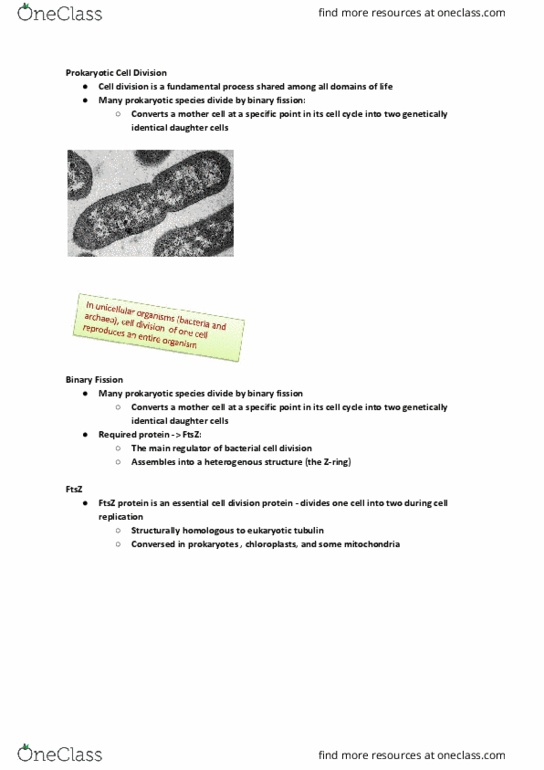 BIOL107 Lecture Notes - Lecture 1: Tubulin, Prokaryote, Cell Division thumbnail